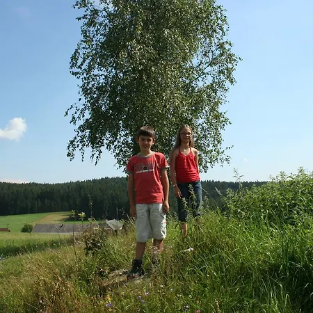 Holiday home Ferienhaus Forellenwirt Grunbach