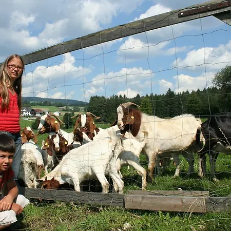 Ferienhaus Forellenwirt Nyaraló