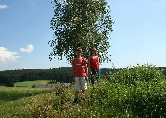 Дом отдыха Ferienhaus Forellenwirt Grunbach